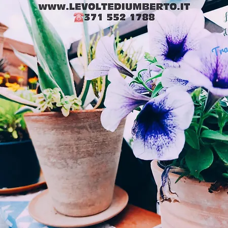 Le Volte Di Umberto Scirocco Apartamento *